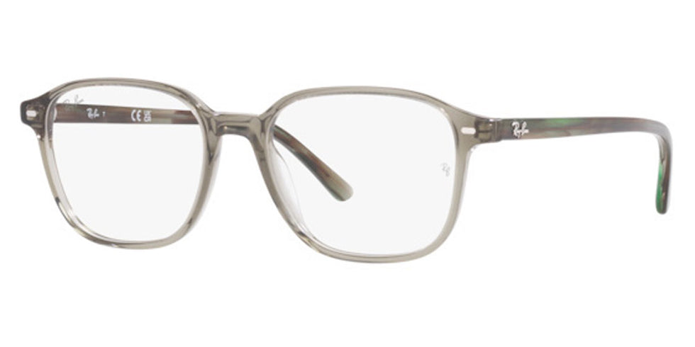 Ray-Ban® Leonard RX5393