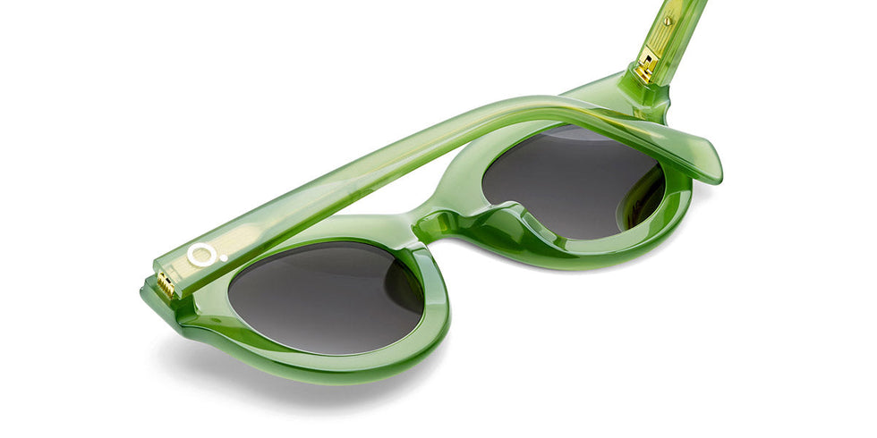 Etnia Barcelona® TAYLOR 5 TAYLOR 45S GRBR - GRBR Green/Brown Sunglasses