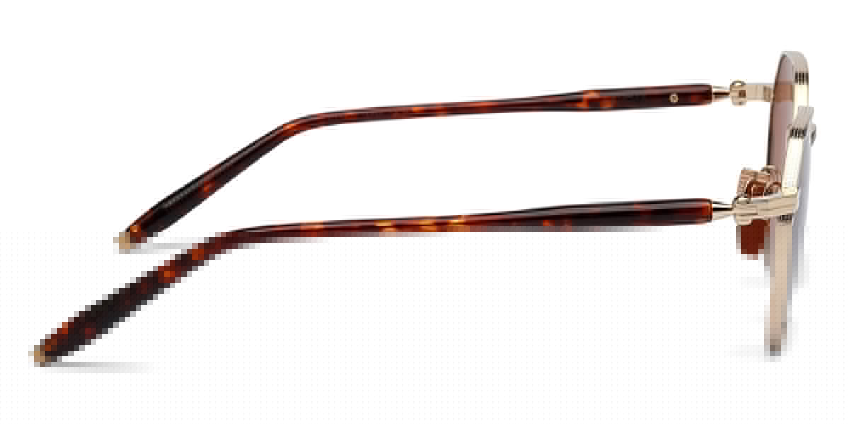 Akoni® Themis AKO Themis 522B 50 - 12k Gold / Havana/Brandy AR Sunglasses