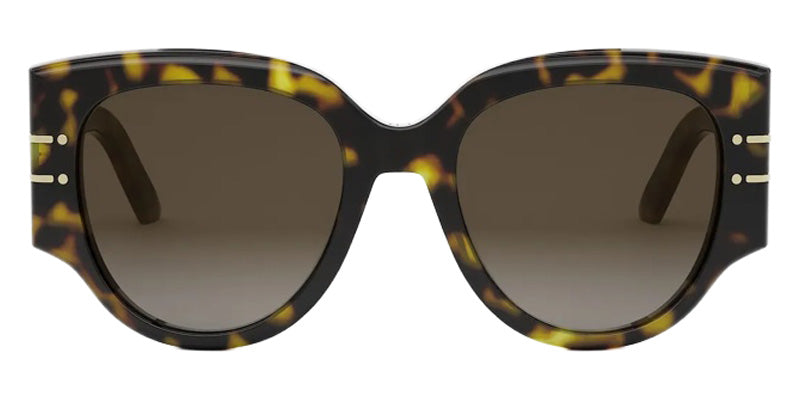 Dior® DIORSIGNATURE R2I Sunglasses - 20F1