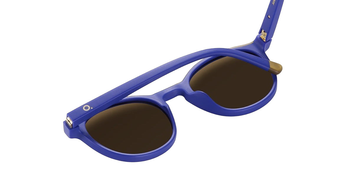 Etnia Barcelona® AVINYO Sunglasses ETB 5 AVIN13 51S BLGD - Blue