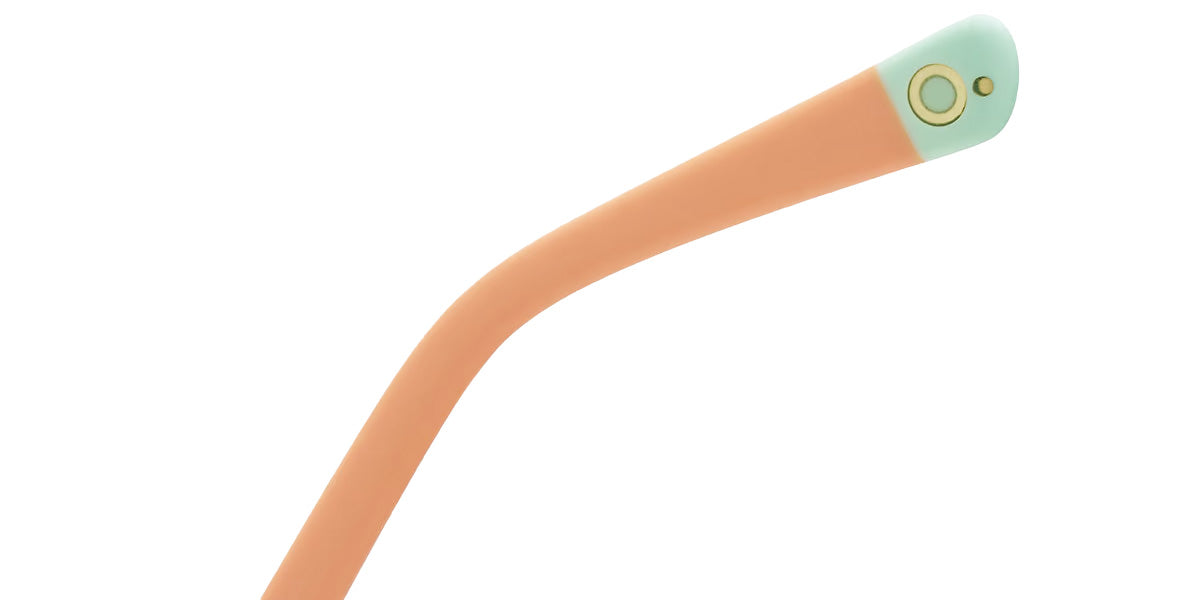 Etnia Barcelona® AVINYO 3 SUN Sunglasses ETB 5 AVINY3 51S COGR - Coral/Gray