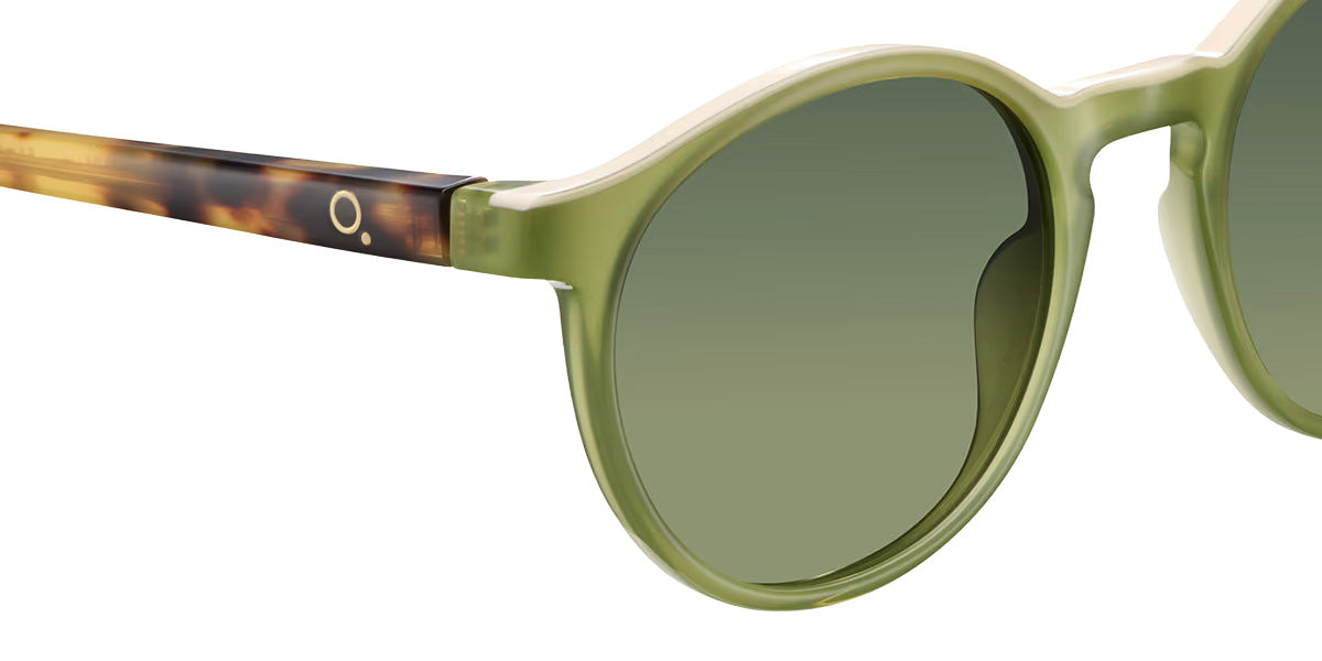 Etnia Barcelona® AVINYO 3 SUN Sunglasses ETB 5 AVINY3 51S GRHV - Green