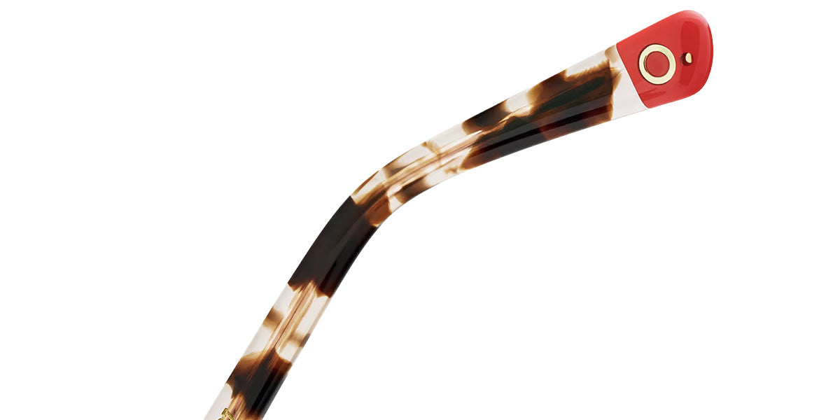 Etnia Barcelona® AVINYO 3 SUN Sunglasses ETB 5 AVINY3 51S HVRD - Havana