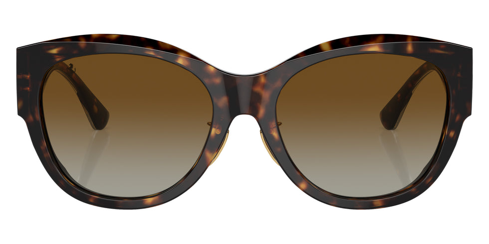 Ferrari® FH2008F Sunglasses - Havana/Brown Gradient Polar