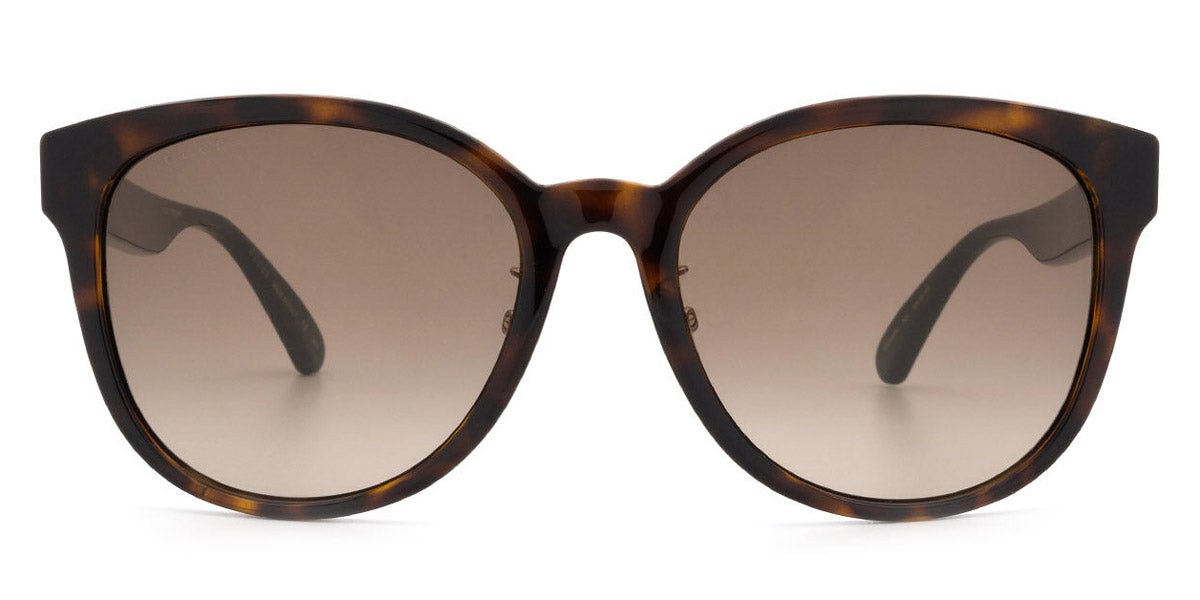 Gucci® GG0854SK GUC GG0854SK 003 56 - Havana/Green Sunglasses