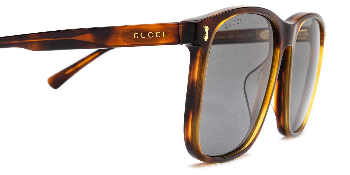 Gucci® GG1041S GUC GG1041S 002 57 - Havana Sunglasses
