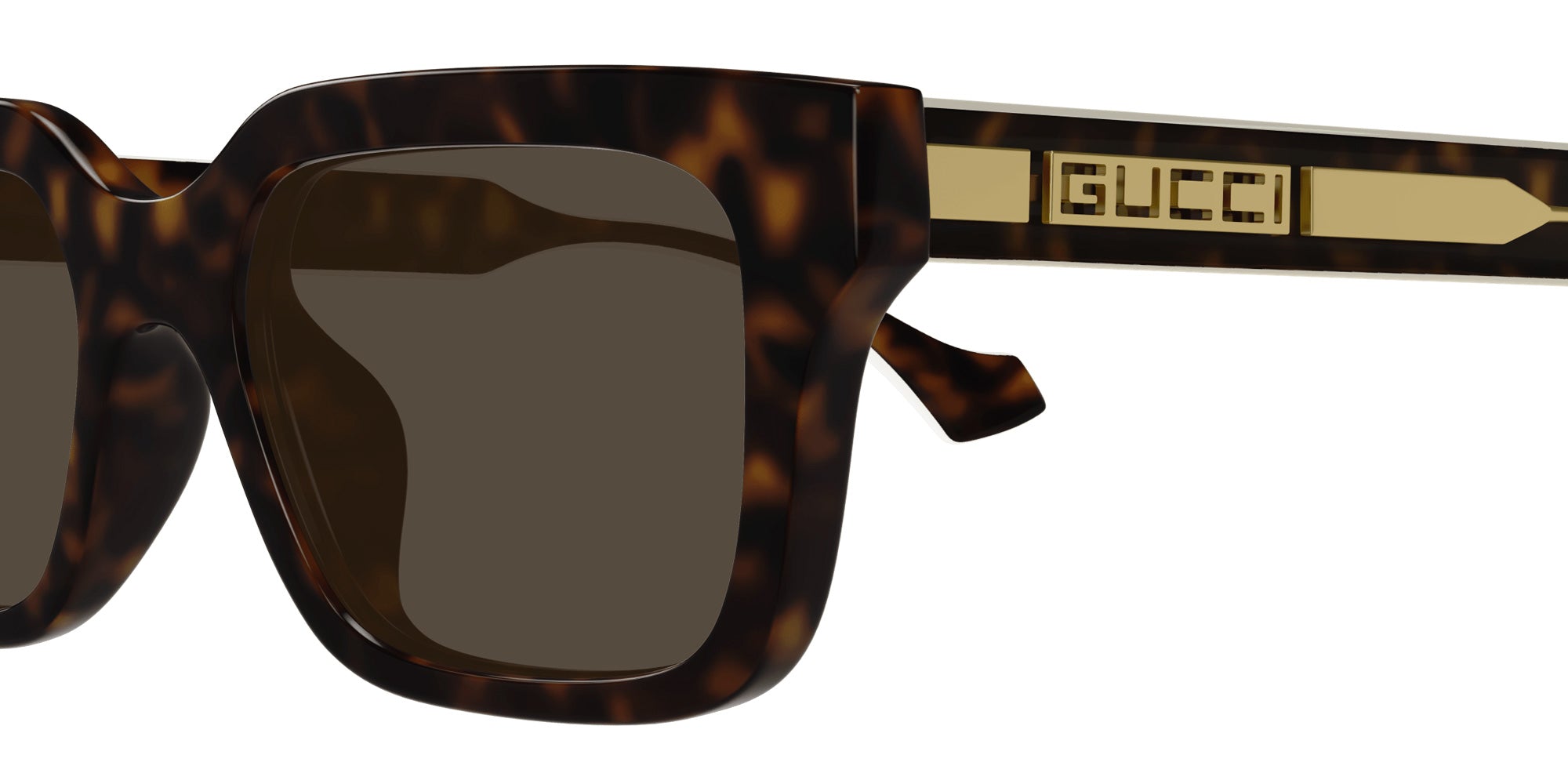 Gucci® GG1732Sk Sunglasses - Havana / Brown
