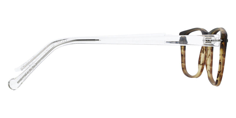 iGreen® V-4.79 IGV047953171013M Eyeglasses - 1013M