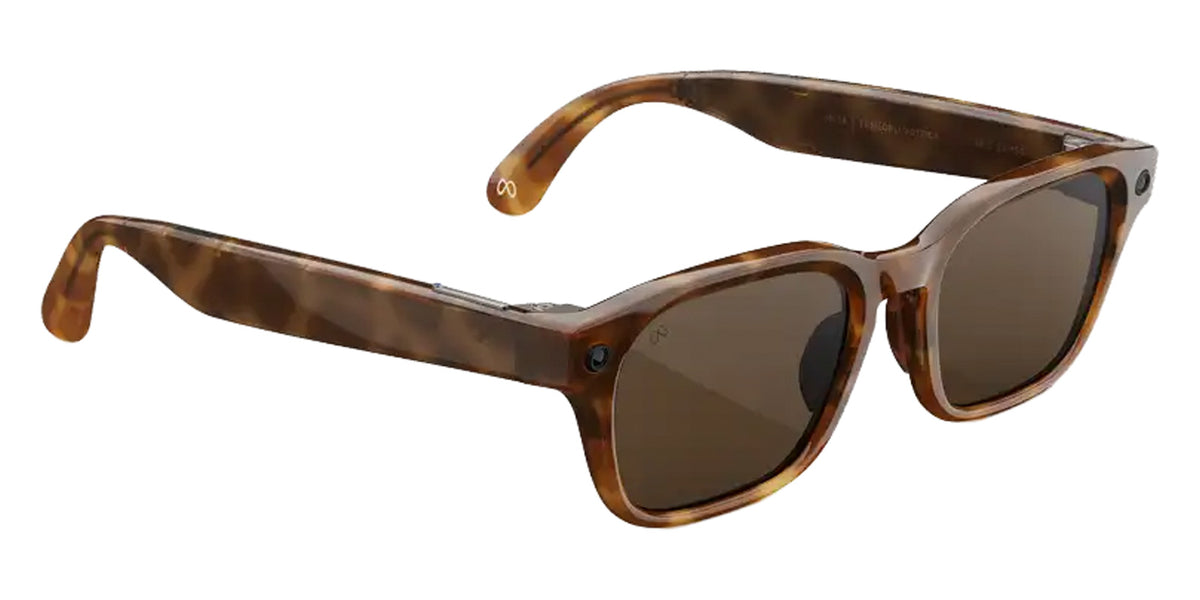 Meta Adventurer Sun Sunglasses - Classic Tortoise/Brown
