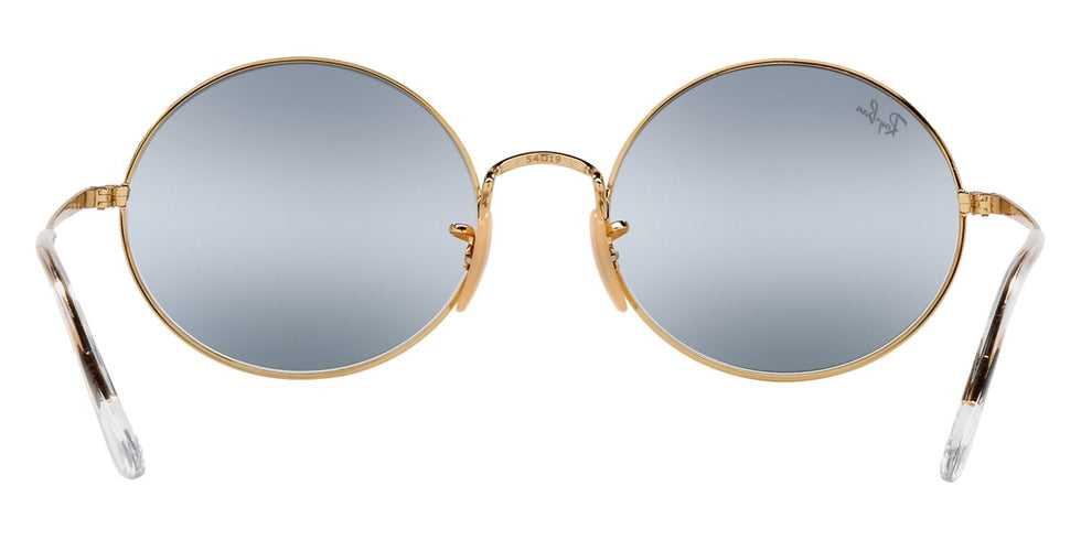 Ray-Ban® Oval RB1970 Sunglasses