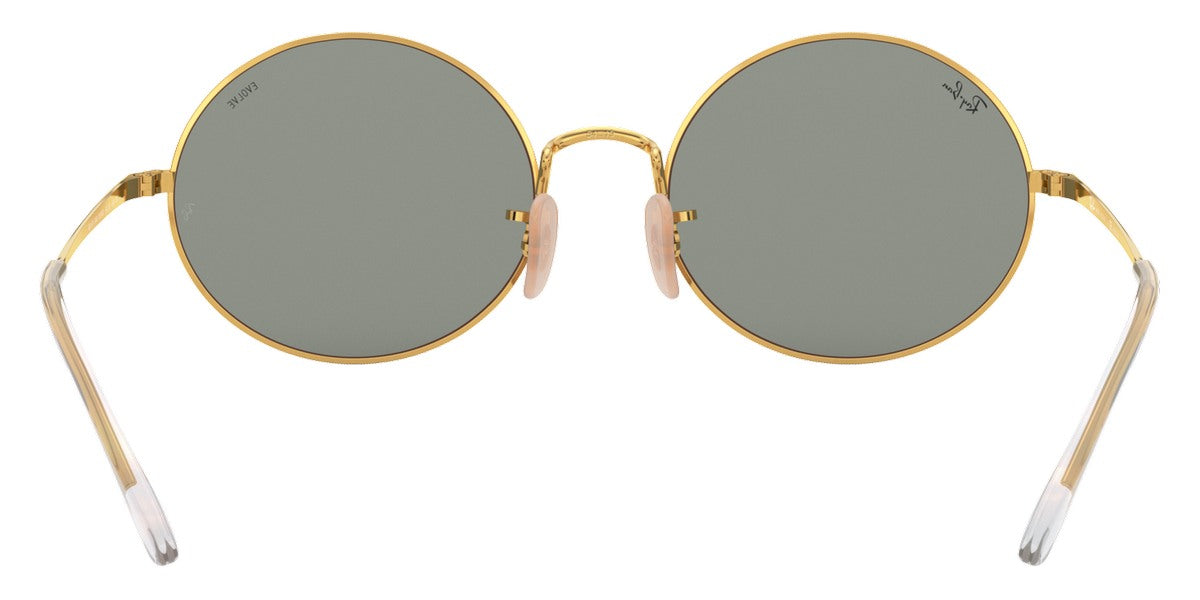 Ray-Ban® Oval RB1970 Sunglasses
