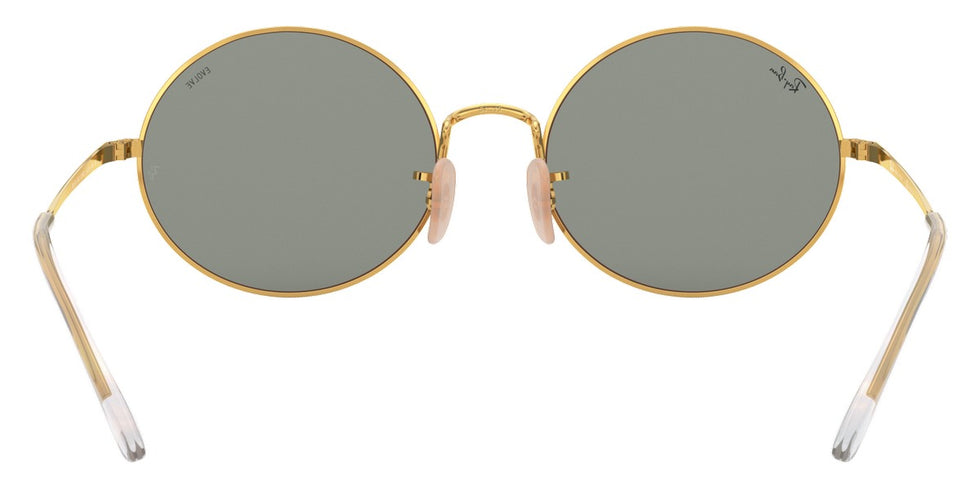 Ray-Ban® Oval RB1970 Sunglasses