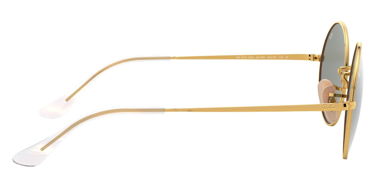 Ray-Ban® Oval RB1970 Sunglasses