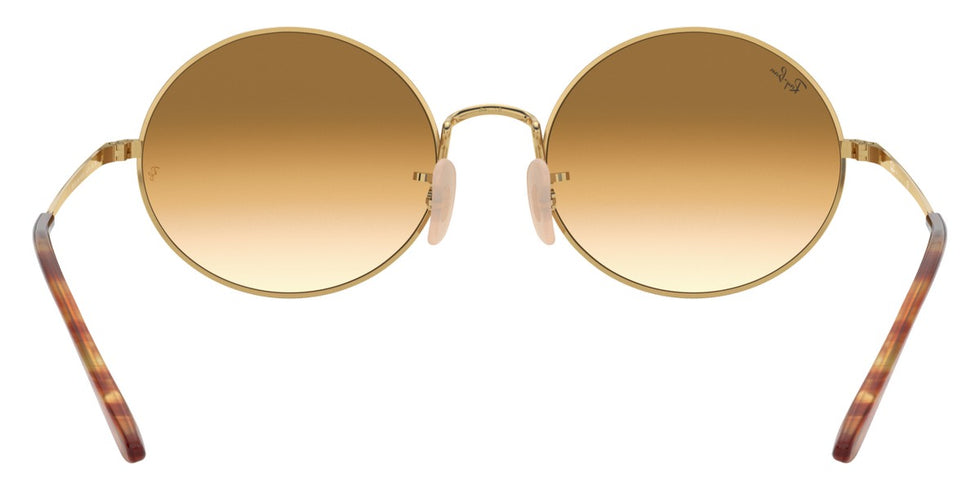 Ray-Ban® Oval RB1970 Sunglasses