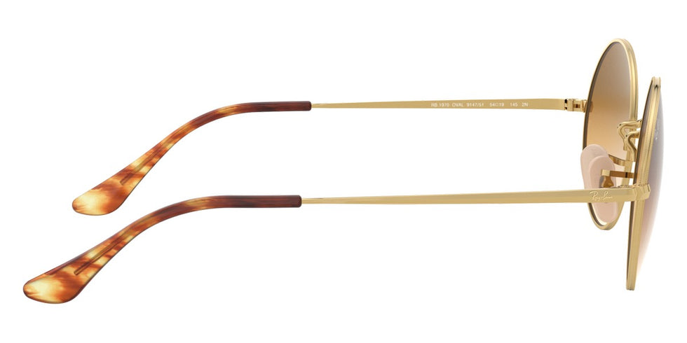 Ray-Ban® Oval RB1970 Sunglasses
