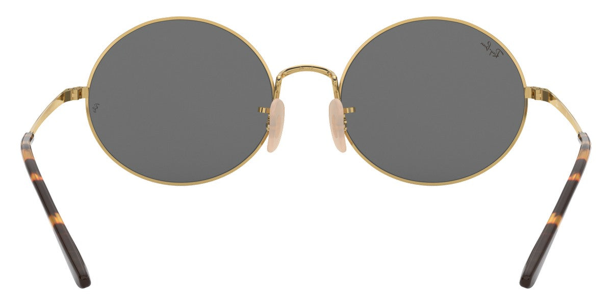 Ray-Ban® Oval RB1970 Sunglasses