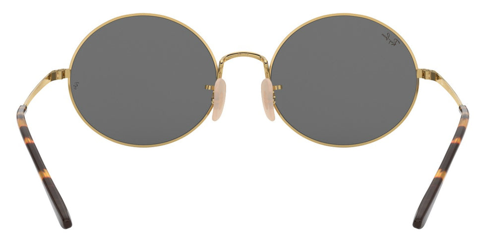 Ray-Ban® Oval RB1970 Sunglasses