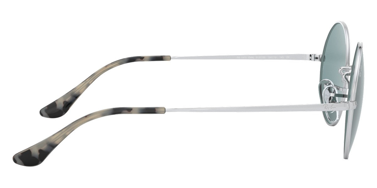 Ray-Ban® Oval RB1970 Sunglasses