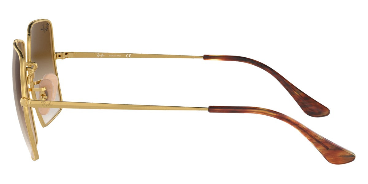 Ray-Ban® Square RB1971 Sunglasses