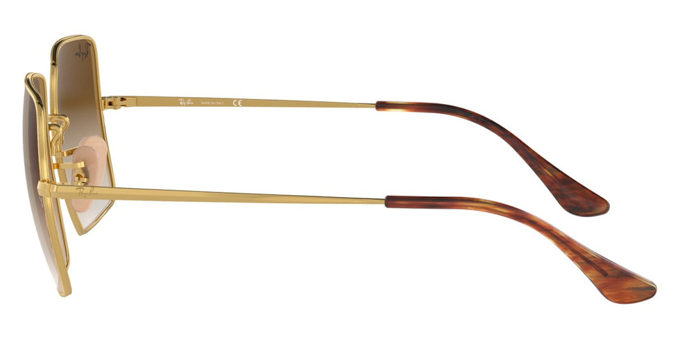 Ray-Ban® Square RB1971 Sunglasses