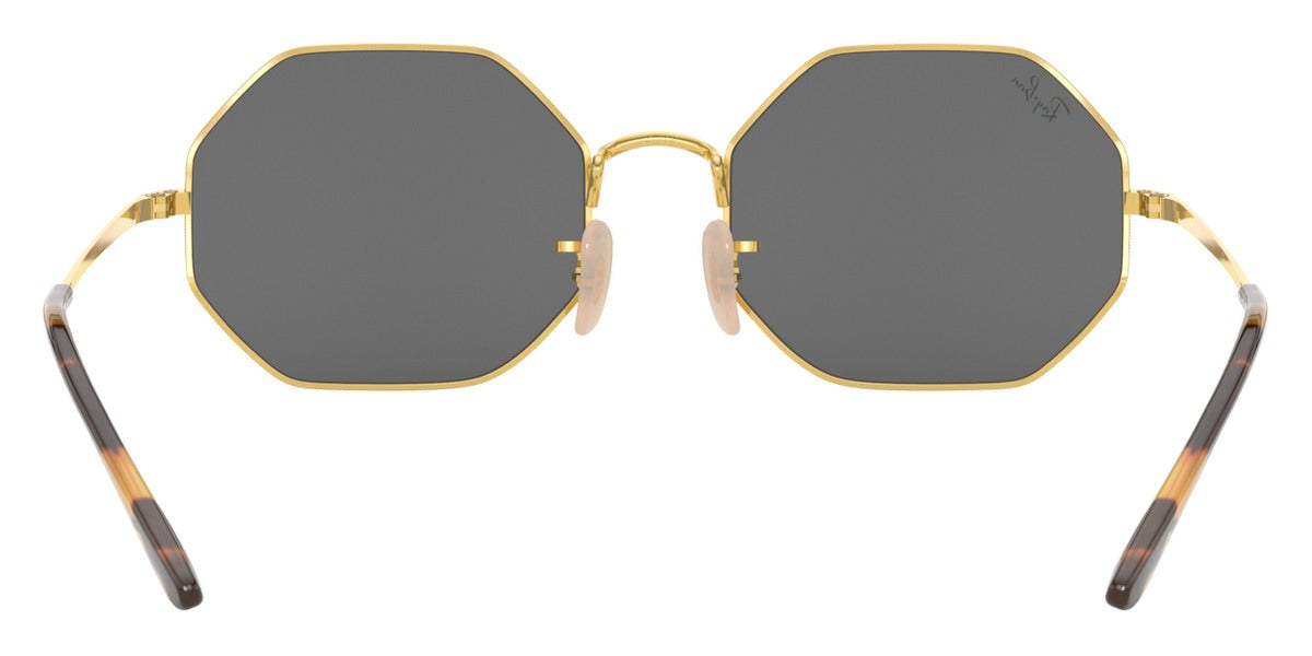 Ray-Ban® Octagon RB1972 Sunglasses