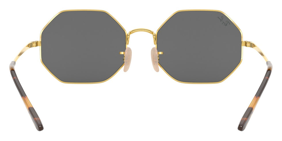 Ray-Ban® Octagon RB1972 Sunglasses