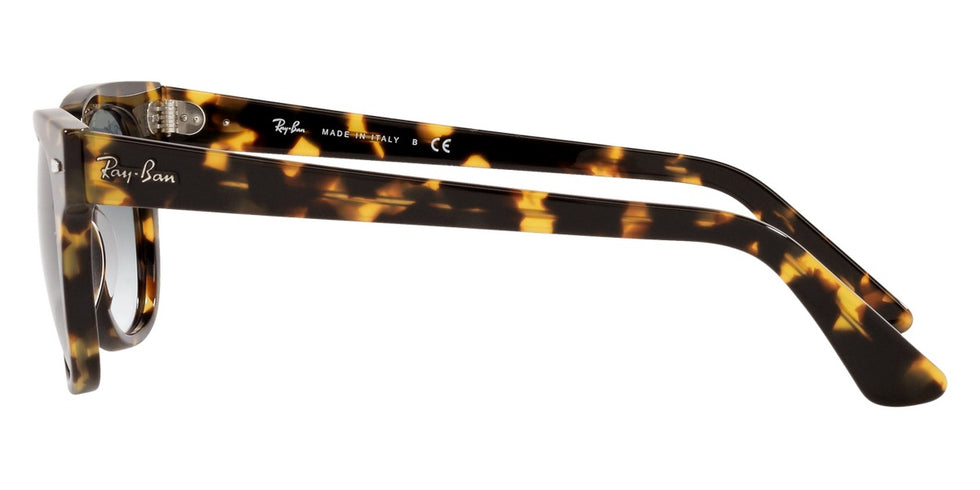 Ray-Ban® Meteor RB2168 Sunglasses