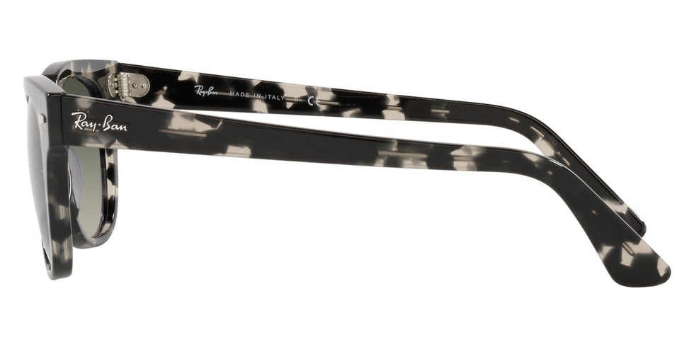 Ray-Ban® Meteor RB2168 Sunglasses