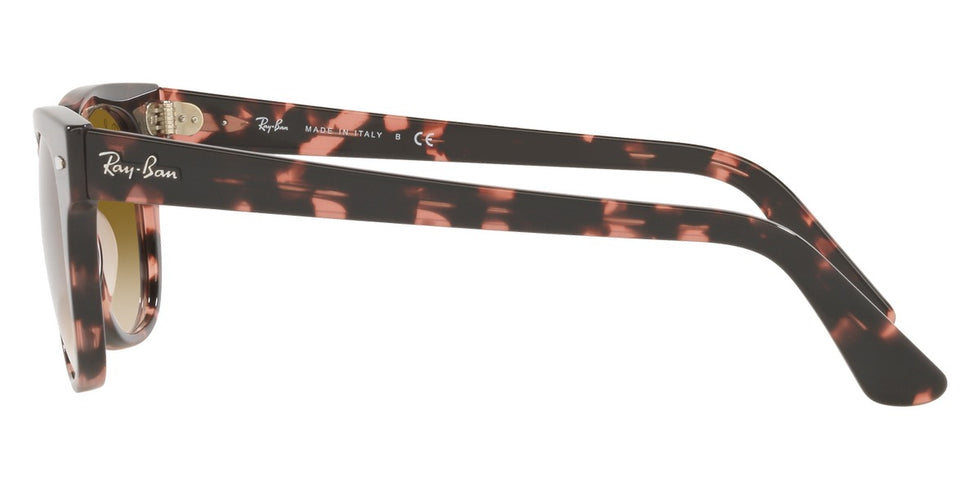 Ray-Ban® Meteor RB2168 Sunglasses