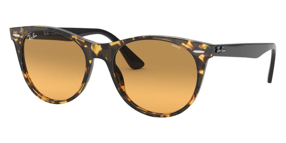Ray-Ban® Wayfarer Ii RB2185 Sunglasses