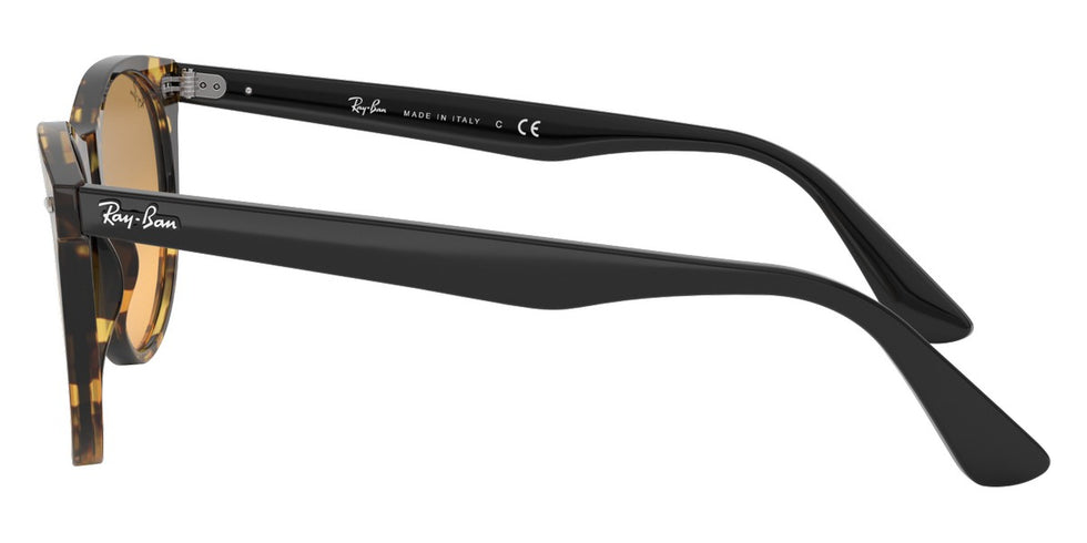Ray-Ban® Wayfarer Ii RB2185 Sunglasses
