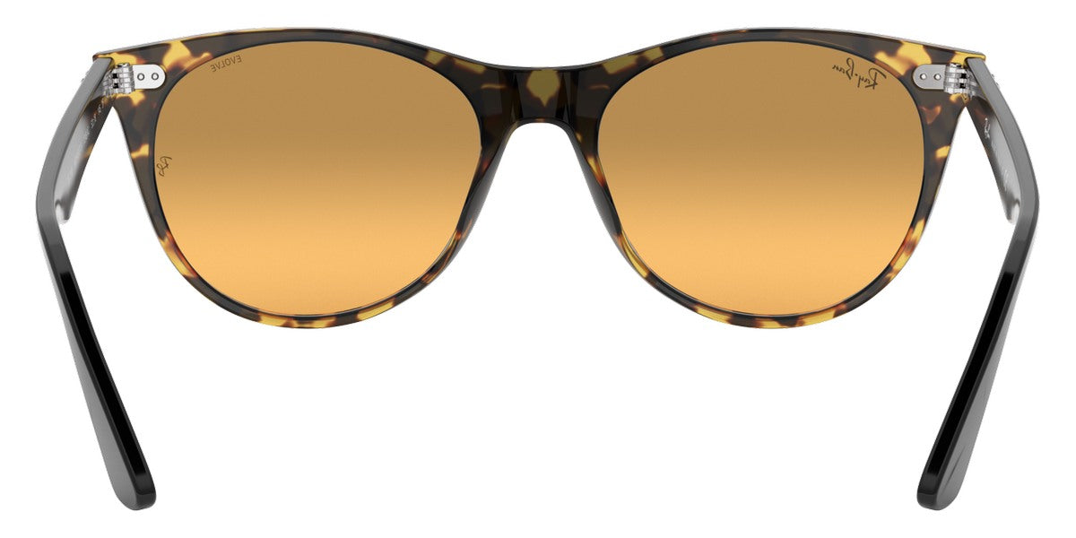 Ray-Ban® Wayfarer Ii RB2185 Sunglasses