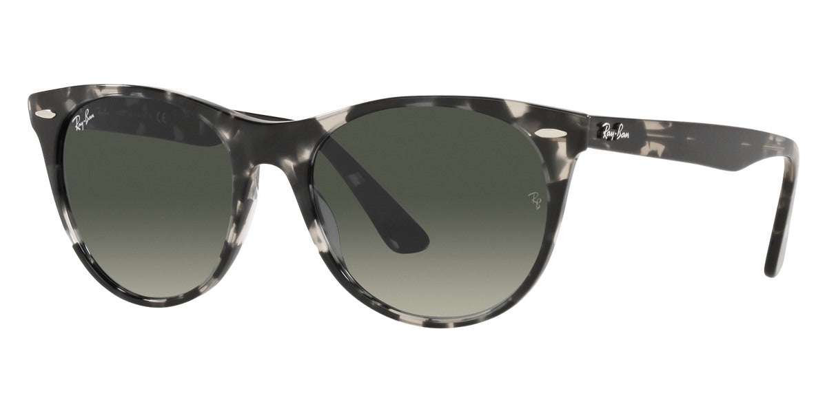 Ray-Ban® Wayfarer Ii RB2185 Sunglasses