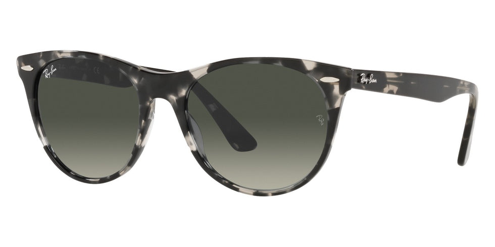 Ray-Ban® Wayfarer Ii RB2185 Sunglasses