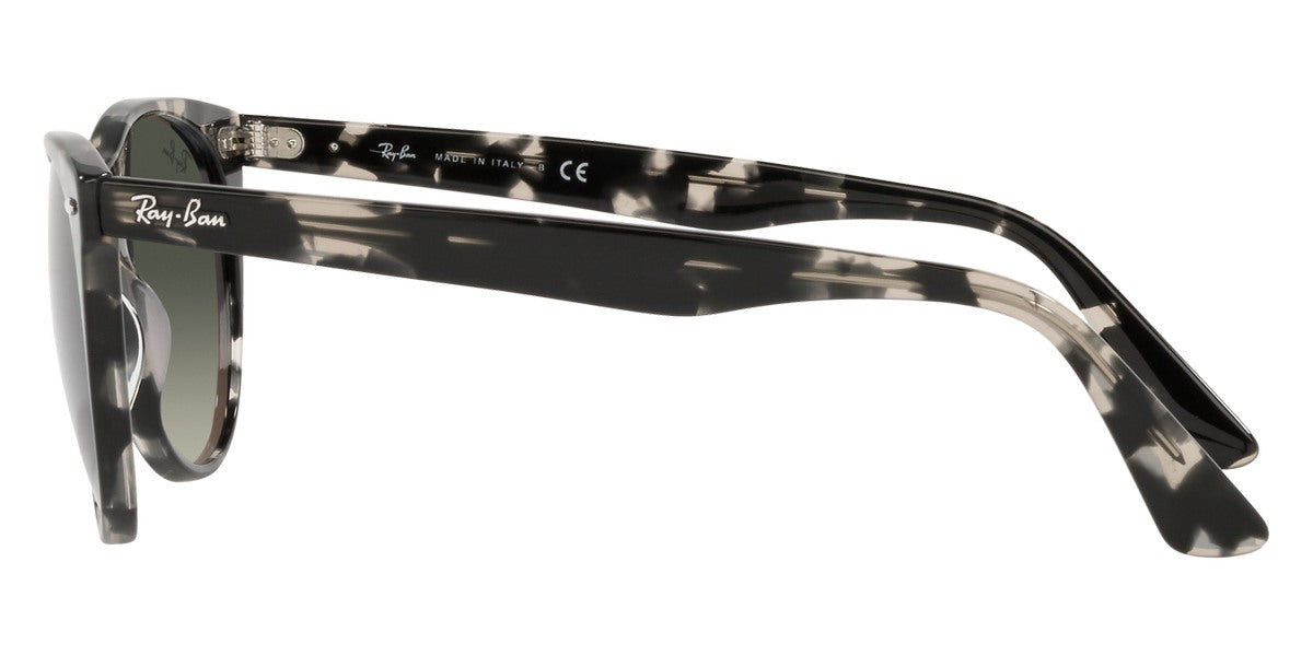 Ray-Ban® Wayfarer Ii RB2185 Sunglasses