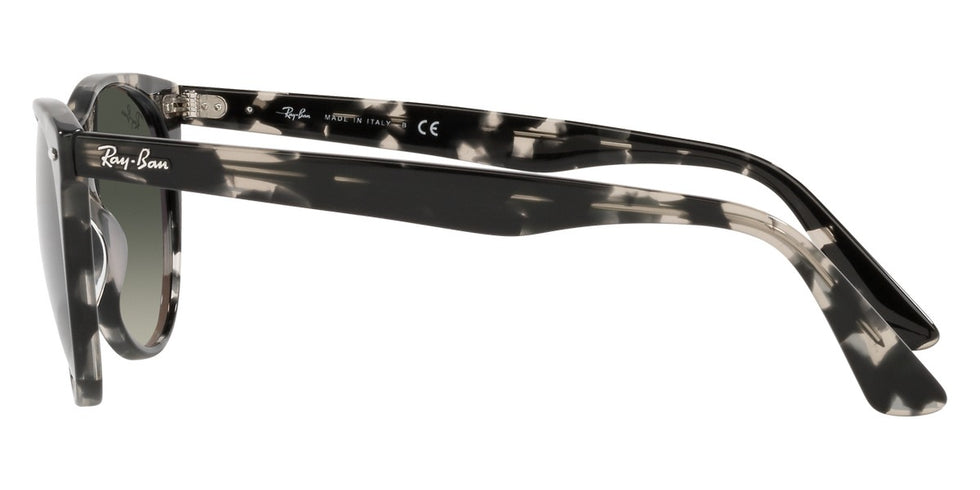 Ray-Ban® Wayfarer Ii RB2185 Sunglasses