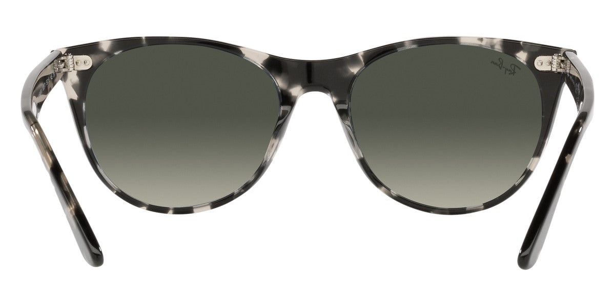 Ray-Ban® Wayfarer Ii RB2185 Sunglasses