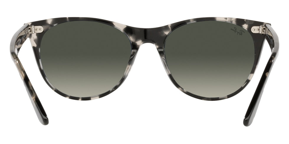 Ray-Ban® Wayfarer Ii RB2185 Sunglasses