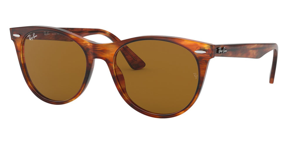Ray-Ban® Wayfarer Ii RB2185 Sunglasses