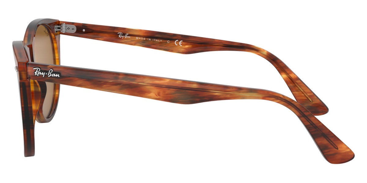 Ray-Ban® Wayfarer Ii RB2185 Sunglasses