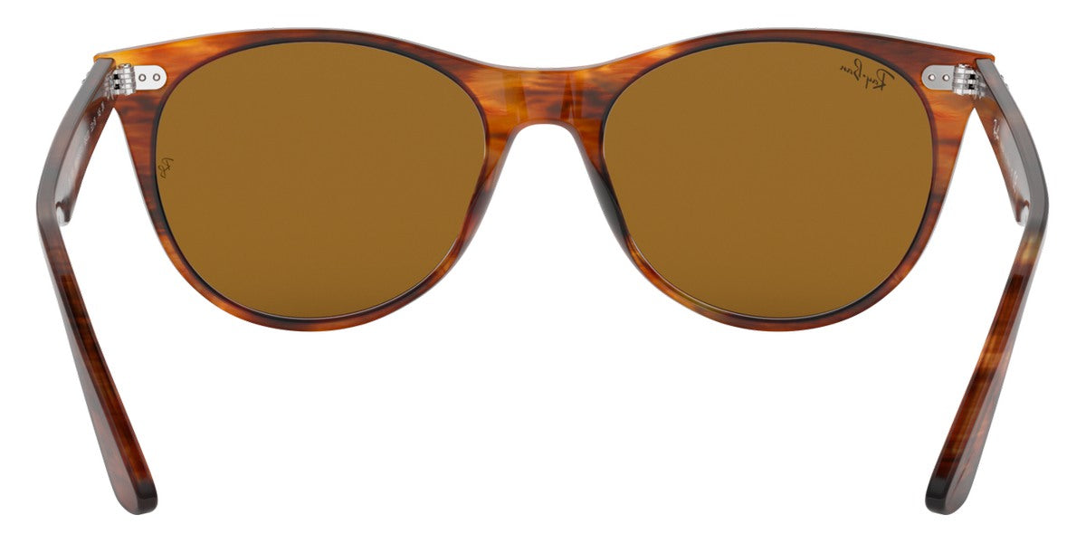 Ray-Ban® Wayfarer Ii RB2185 Sunglasses