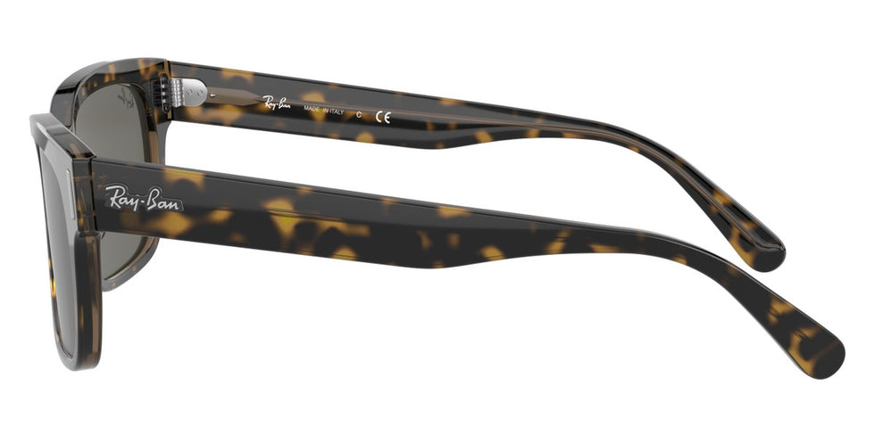 Ray-Ban® Jeffrey RB2190 Sunglasses