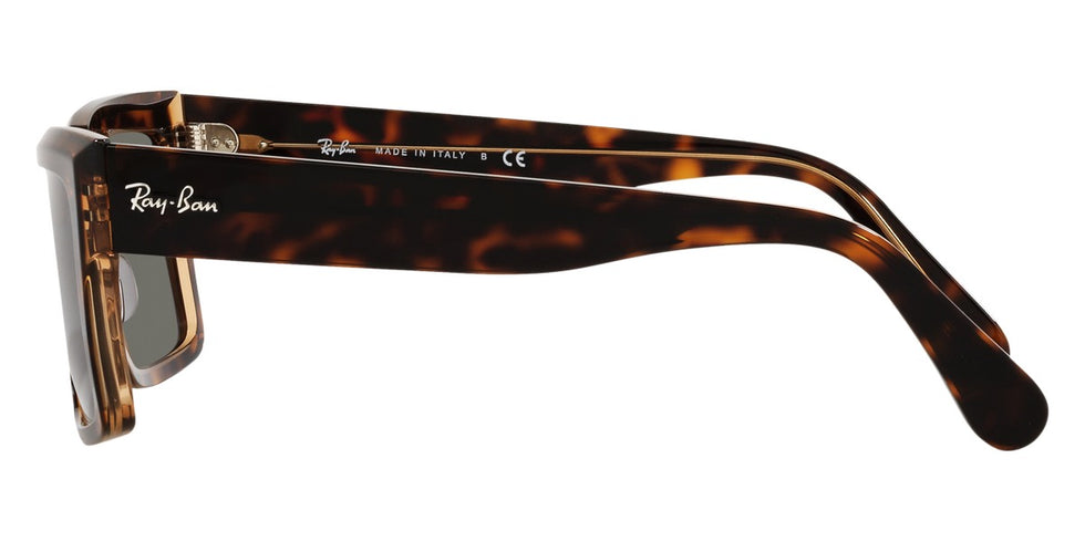 Ray-Ban® Inverness RB2191 Sunglasses