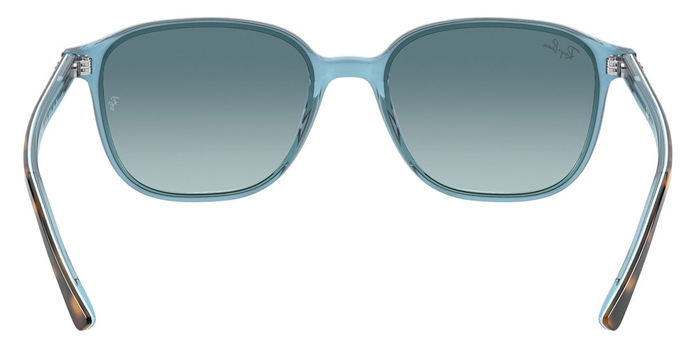 Ray-Ban® Leonard RB2193 Sunglasses