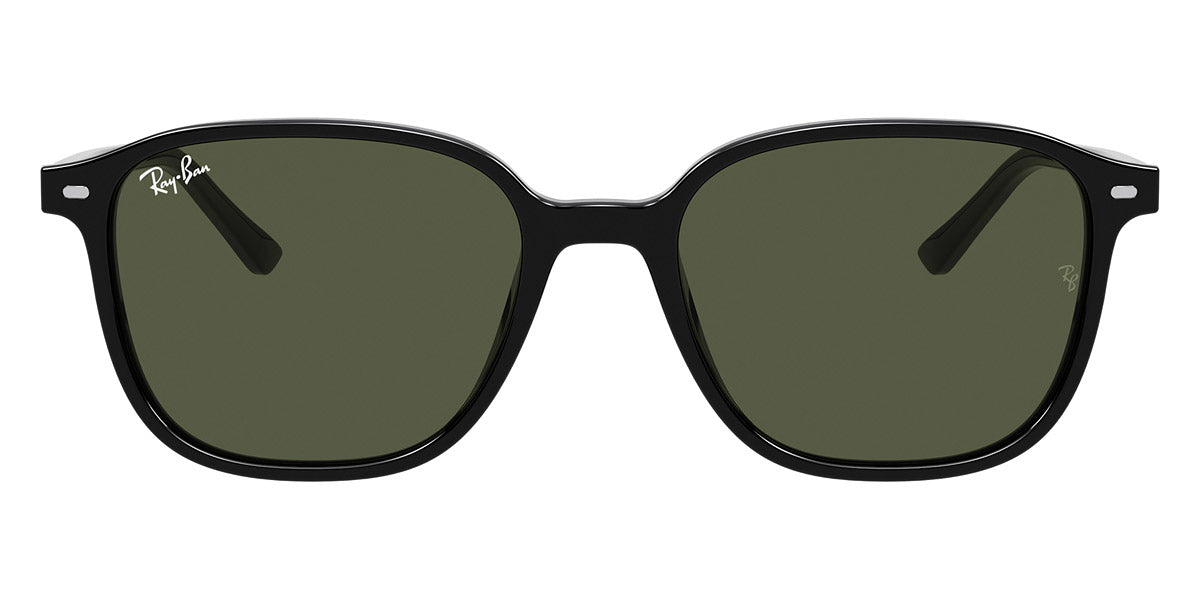 Ray-Ban® LEONARD 0RB2193 RB2193 901/31 55 - Black with Green lenses Sunglasses