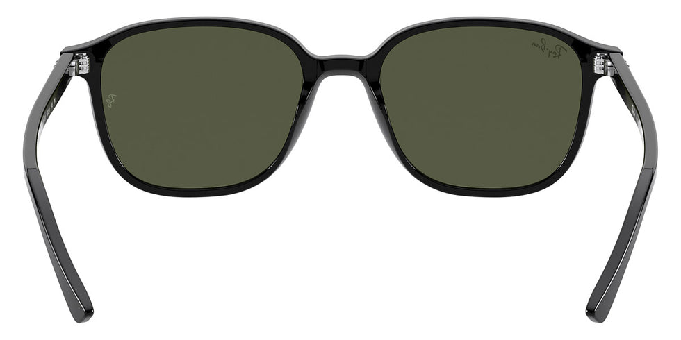 Ray-Ban® Leonard RB2193 Sunglasses
