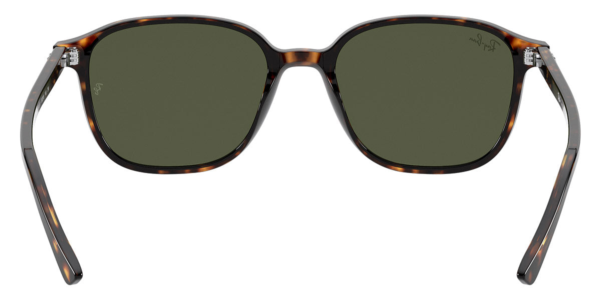 Ray-Ban® Leonard RB2193 Sunglasses