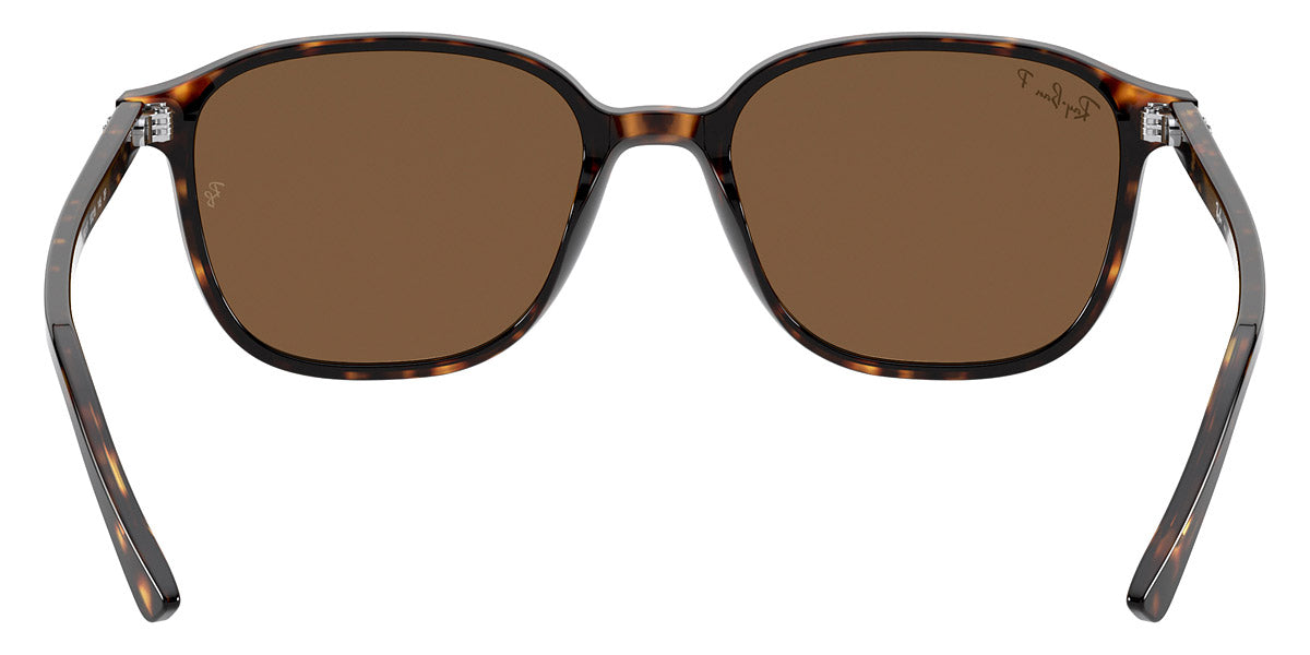 Ray-Ban® Leonard RB2193 Sunglasses