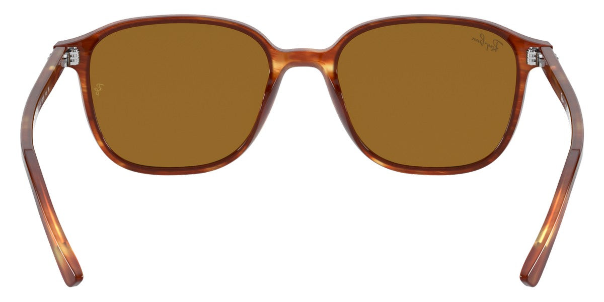 Ray-Ban® Leonard RB2193 Sunglasses